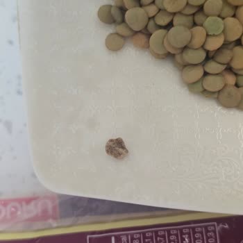 Duru Marka Yeşil Mercimek İçindeki Siyahlıklar