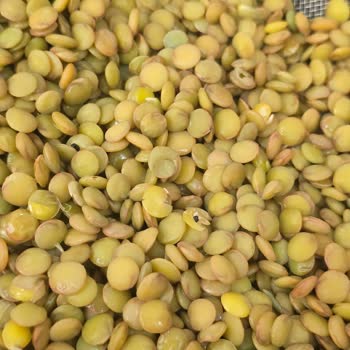 Duru Marka Yeşil Mercimek İçindeki Siyahlıklar