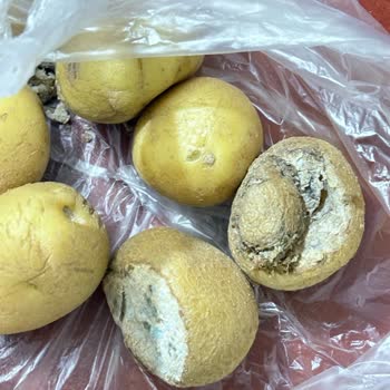 Migros Sanal Market'te Sürekli Çürük Ve Kalitesiz Ürün Teslimatı