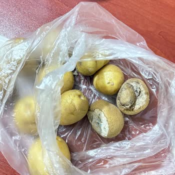 Migros Sanal Market'te Sürekli Çürük Ve Kalitesiz Ürün Teslimatı