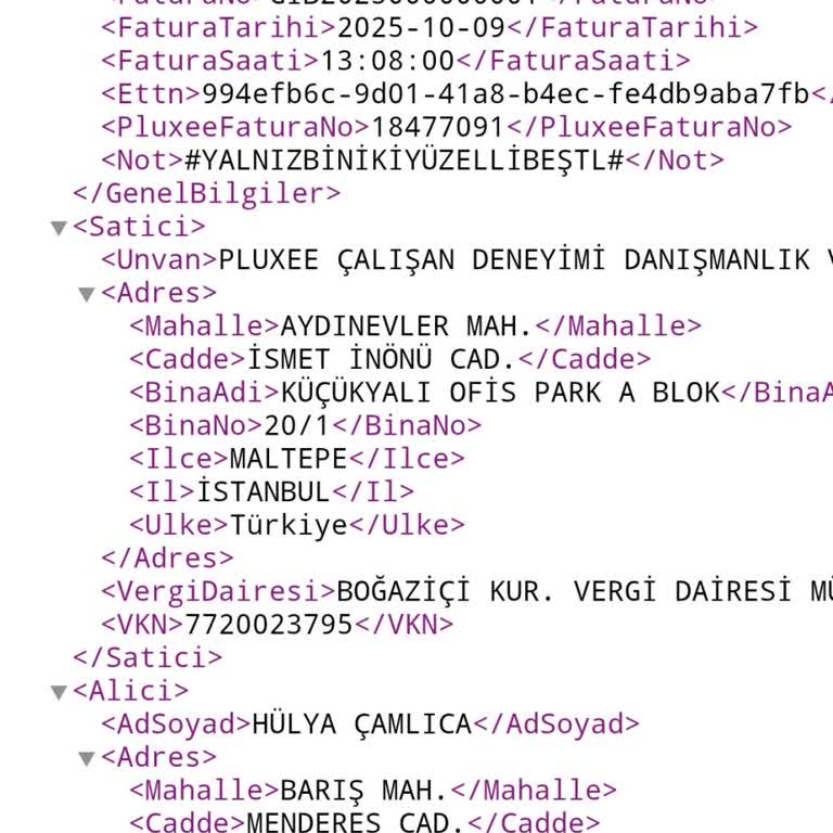 Pluxee Fatura İadesi Ve Ödeme Sorunu Üç Aydır Çözülemiyor