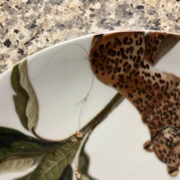 Donuk Toblerone Çikolatadan Saç Kılı Çıkması Nedeniyle Hijyen Şikayeti