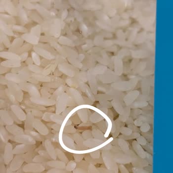 BİM Satın Aldığım Pirinçte Kurt Çıkması Ve Ürün Güvenliği Hakkında Şikayetim