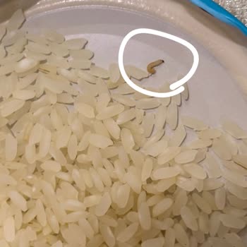 BİM Satın Aldığım Pirinçte Kurt Çıkması Ve Ürün Güvenliği Hakkında Şikayetim