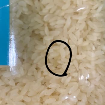 BİM Satın Aldığım Pirinçte Kurt Çıkması Ve Ürün Güvenliği Hakkında Şikayetim