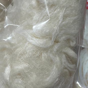 Pişmaniyede Kıl Çıkması Hamile Eşim İçin Büyük Hijyen Endişesi Yarattı