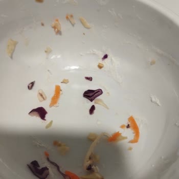 Hastane Yemeklerinde Hijyen Sorunu Ve Kullanılmış Tabak