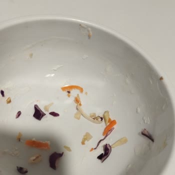 Hastane Yemeklerinde Hijyen Sorunu Ve Kullanılmış Tabak