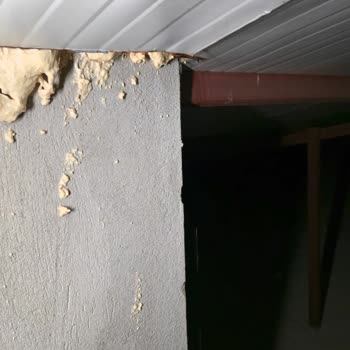 Dym Yapı'dan Aldığım Daire 2,5 Yıldır Eksik Ve Ayıplı Teslim Edildi