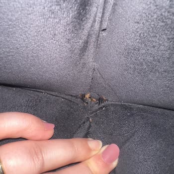 Mondihome Koltukta Dikiş Açılması Ve Servis Sorunları