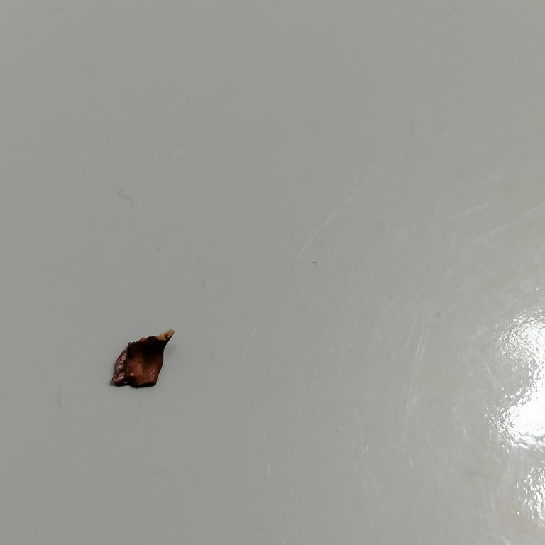 Zafer Fırın Ekmek ve Unlu Mamüller Baklavanın İçinden Ceviz Kabuğu Çıktı