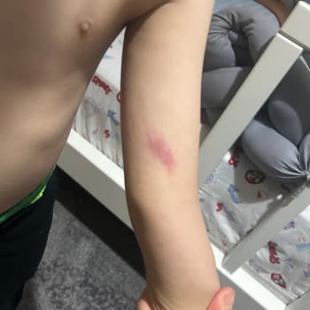 Çocuklarım Oyun Alanında Şiddete Maruz Kaldı, Güvenlik Ve İade Talebim Cevapsız Kaldı