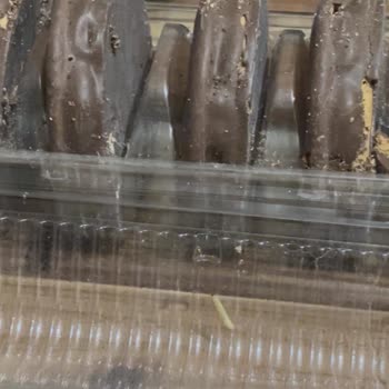 Aldığım Halley Ürününün İçinden Kurt Çıkması