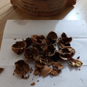 Bozuk Ceviz Ve Eksik Kuru Patlıcanla Mağdur Edildim