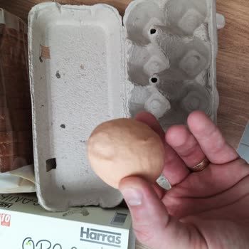 Organik Yumurtalarda Beklenmeyen Görünüm Güvenimi Sarstı