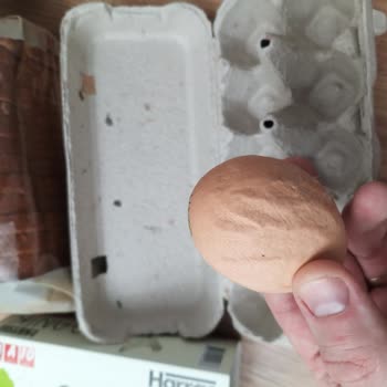 Organik Yumurtalarda Beklenmeyen Görünüm Güvenimi Sarstı