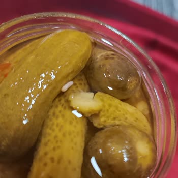 A101'den Aldığım Galle Kornişon Turşuda Hijyen Sorunu Ve Kurt Çıkması