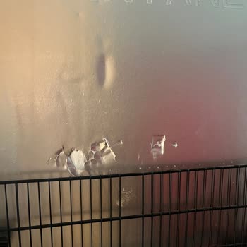 Sürekli Arızalanan Ve Hasar Gören Buzdolabıma Çözüm Bulunmuyor, Güvenim Kalmadı