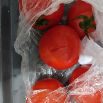 Online Siparişte Bozuk Ve Kalitesiz Ürün Mağduriyeti