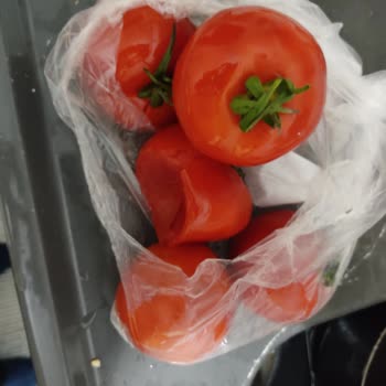 Online Siparişte Bozuk Ve Kalitesiz Ürün Mağduriyeti