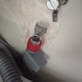 Arızalı Onarım Sonrası Böcek İstilası Ve Su Baskını Mağduriyeti Yaşadım