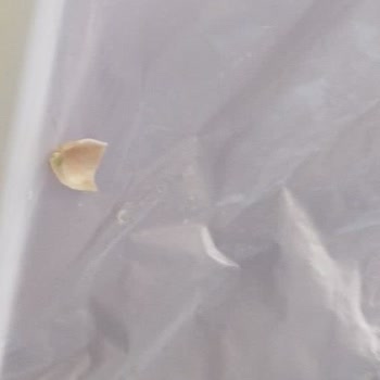 Migros Dondurmada Hijyen Ve Kalite Skandalı: Acı Tat, Kumlu Doku Ve Yabancı Cisim!