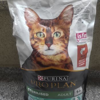 Aldığım 10 Kg Kedi Maması Kedimi Hasta Etti, Ürün Sahte Mi?