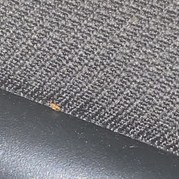 Otobüste Tahta Kurusu Şoku Ve Yetersiz Hijyen