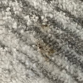 Halılar Yıkanmadan Geri Getirildi Ücret İadesi Talep Ediyorum