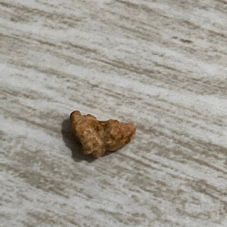 Kurtuluş Orman Çiftliği Akgünlük Sakızında Taş Parçası Çıkması Ve Güvenlik Endişesi!