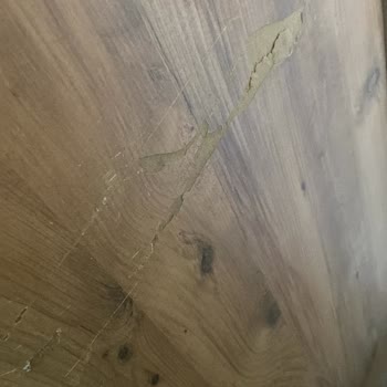 Deforme Gelen Masa İçin Değişim Sürecinde Yaşanan İlgisizlik Ve Mağduriyet