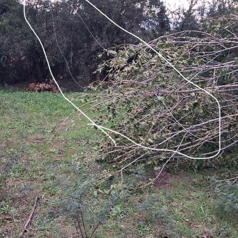 Kopan Elektrik Hattı Can Güvenliğini Tehlikeye Atıyor, Acil Müdahale Bekliyorum