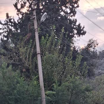 Eki aç