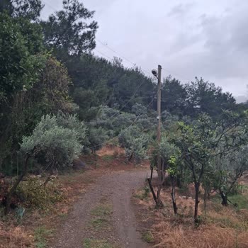 Eki aç