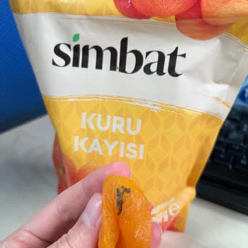 Aldığım Kuru Kayısıdan Küf Çıktı Sağlığım Riske Girdi