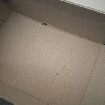 Adidas'tan Yırtık Kutuda Ayakkabı Gönderildi, Müşteri Hizmetleri Çözüm Sunmadı