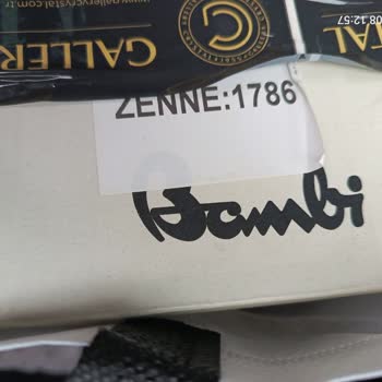 Bambi Botun Tabanı Tamamen Ayrıldı