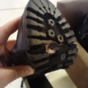 Bambi Botun Tabanı Tamamen Ayrıldı