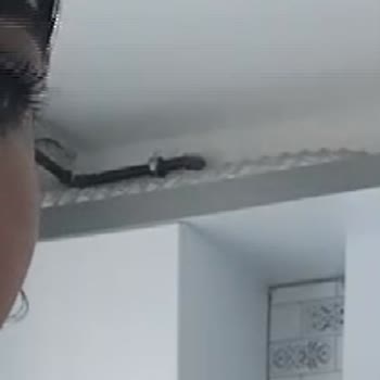 Reeder Tekrarlayan Ekran Sorunu Ve İade Talebimin Reddedilmesi Nedeniyle Mağduriyet Yaşıyorum