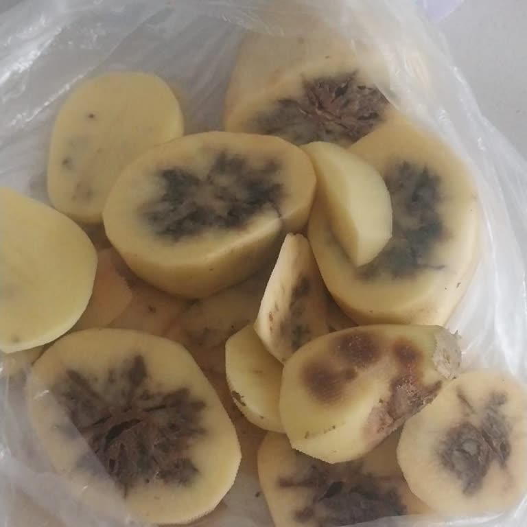 BİM Başiskele Şubesinde Tekrarlayan Çürük Patates Sorunu Ve İlgisiz Yaklaşım