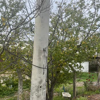 Kamyonun Çarptığı Direk 5 Gündür Onarılmadı, Köyde İnternet Ve İletişim Yok