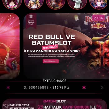 Kazancım Ve Ana Param Hesabıma Aktarılmadan Silindi