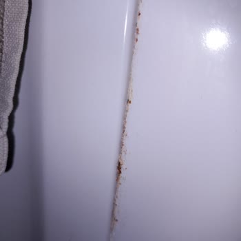 Ek Garantiye Rağmen Servis Deterjan Haznesi Sorununu Çözmüyor