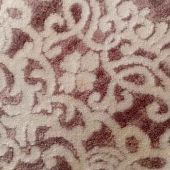 Temizlenmeyen Halılar Ve İlgisiz Hizmet Mağduriyet Yarattı