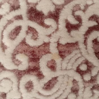 Temizlenmeyen Halılar Ve İlgisiz Hizmet Mağduriyet Yarattı