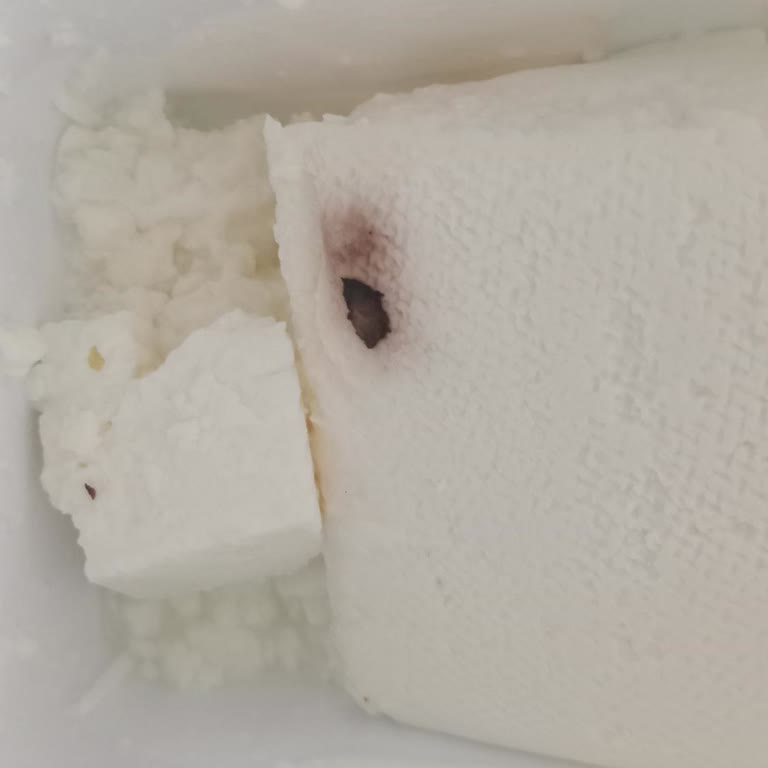 Peynirde Yabancı Madde Ve Firma İlgisizliğiyle Yaşadığımız Mağduriyet