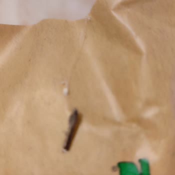 Doğalsan Ambalajlı Yulaf Ununda Güve Çıkması Ve Ürün Güvenliği Endişesi!