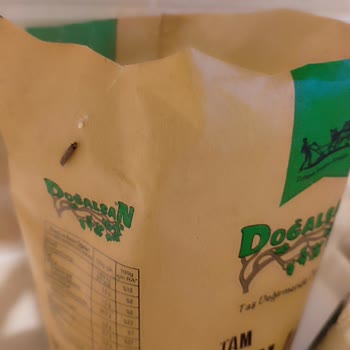 Doğalsan Ambalajlı Yulaf Ununda Güve Çıkması Ve Ürün Güvenliği Endişesi!