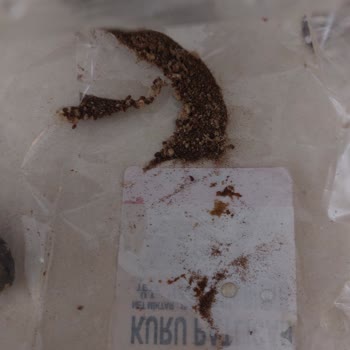 Aldığım Kuru Patlıcan Paketi Bozuk Ve Küflü Çıktı