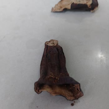 Aldığım Kuru Patlıcan Paketi Bozuk Ve Küflü Çıktı